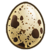Large quail egg.png