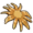 Sunflower sea star.png