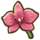 Orchid.png