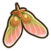 Maple seeds.png