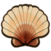 King scallop.png
