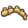 914Mosasaurus Spine.png