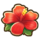 896Hibiscus.png