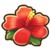 Hibiscus.png