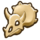 567Triceratop Skull.png