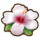 341White Hibiscus.png