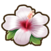 White hibiscus.png