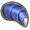 Blue mussel.png