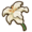 Lily (flower).png