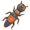 Rove beetle.png