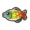 Rainbow fish.png
