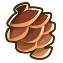 Pine cone.png