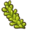 Sea grapes.png