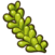 Sea grapes.png