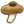 Shitake.png