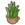 Small tropical plant.png