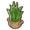 Small tropical plant.png