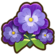 46Pansy.png