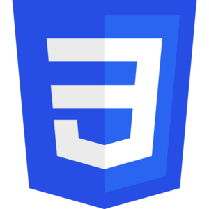 CSS logo.png