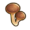 Sea mushroom.png