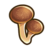 Sea mushroom.png