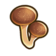 444Sea Mushroom.png