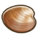 892Cheerystone Clam.png