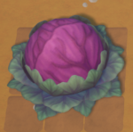 Giant Red Cabbage.png