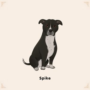 Adoptable Spike PitbullCorgi.jpg