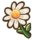 271Daisy.png