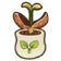 114Cocoa Seedling.png