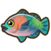 Parrotfish.png