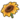 Sunflower.png