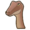 Gallimimus skin.png