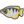 770Archer Fish.png