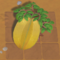 Giant Starfruit.png