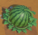 Giant Watermellon.png