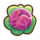 771Red Cabbage.png