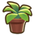 Small potted plant.png