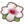 White hibiscus.png