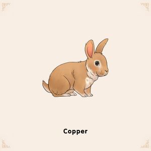 Adoptable Copper.jpg
