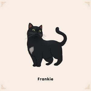 Adoptable Frankie.jpg