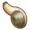 Geoduck.png