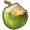 Whole coconut drink.png