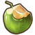 Whole coconut drink.png