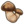 Matsutake.png
