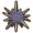 Black urchin sea.png