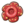 Rafflesia.png