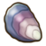 Blue oyster.png